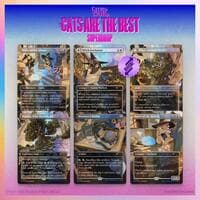 Secret Lair Drop: Witch's Familiar - Traditional Foil Edition